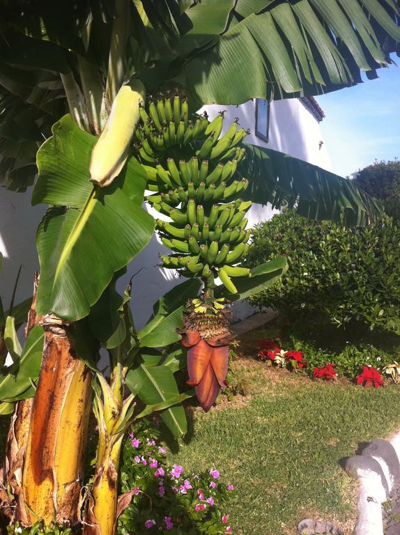 Apartment Eden Island Village Costa Adeje  Bagian luar foto